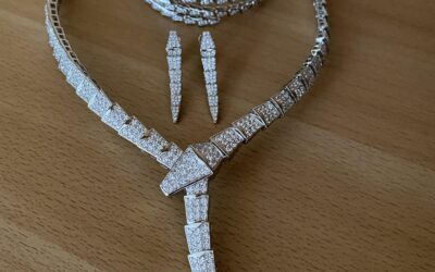 Bvlgari Serpenti Viper Full Set from YJ Factory & Mary
